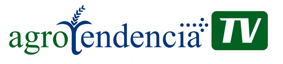 Aliado 1
